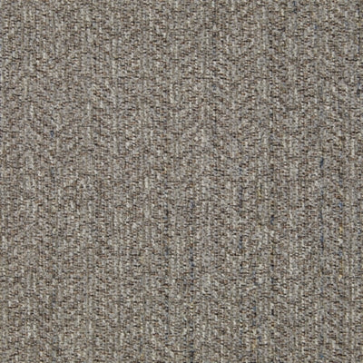 B821B5-COLOR