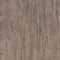 Light Grayish Brown