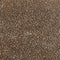 Antique Brown/White