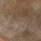 Antique Beige