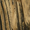 Antique Gold Finish