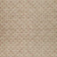 Beige/Gray/Brown