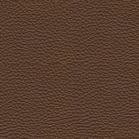 U1040013-COLOR
