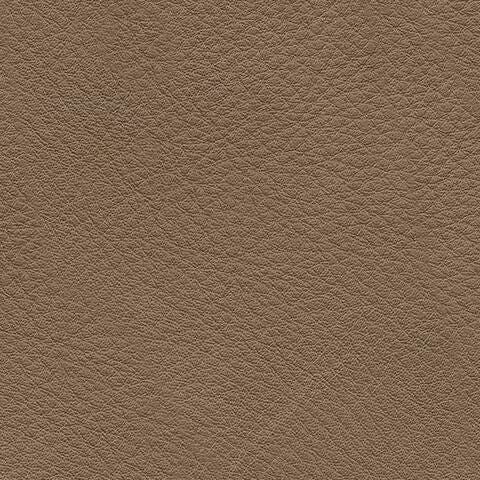 PCU1240015-COLOR