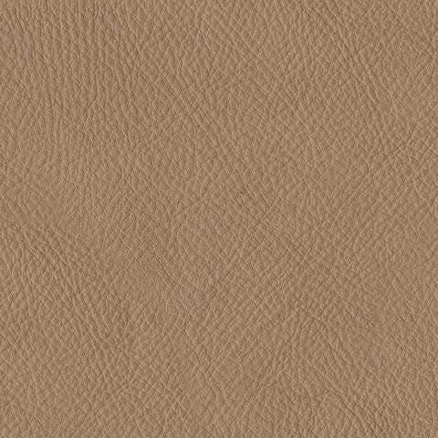 U6600014-COLOR